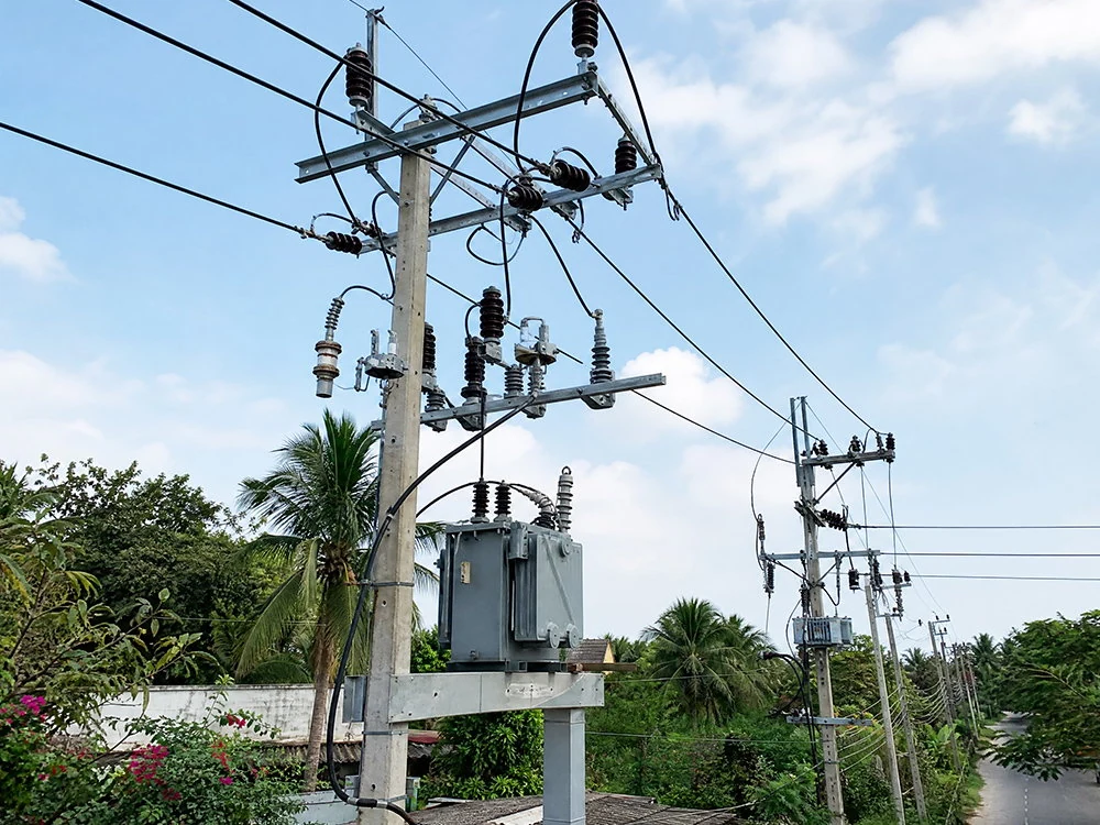 Feeder Protection Project in Southeast Asia Feeder Protection Project in Southeast Asia